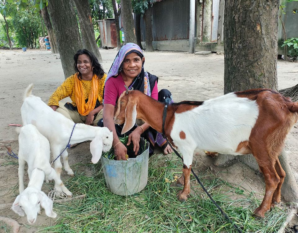 women feeding goats