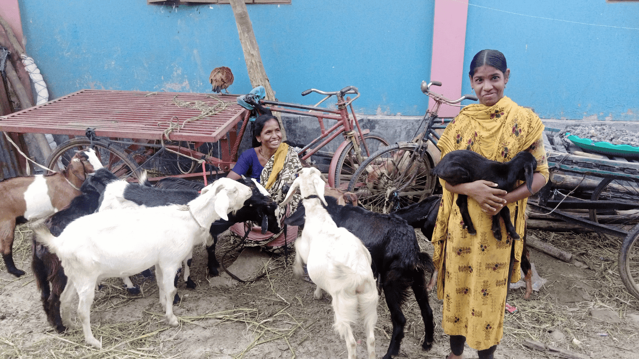 2 People with some goats